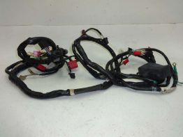 Wire Harness Honda CBR 1000 F