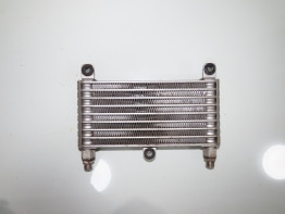 Oliekoeler Moto Guzzi Stelvio