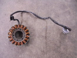 Lichtmaschine KTM 890 SMT