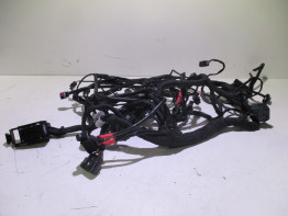 Kabelboom BMW R 1250 RS