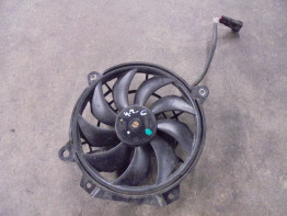 Fan Aprilia Tuono 660