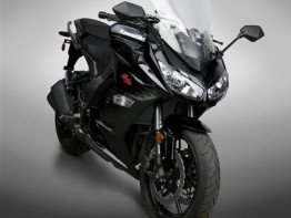 Kuipruit Kawasaki Z 1000 Sx