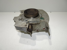 Cilinderblok Ducati monster 600