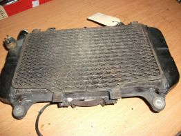 Radiator Kawasaki ZZR 600