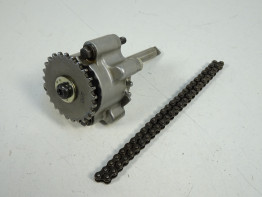 Olpumpe Triumph Sprint ST 1050