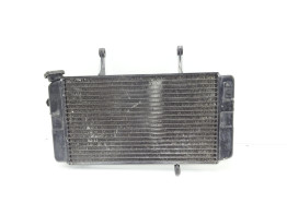 Radiateur Suzuki DL 1000 V STROM