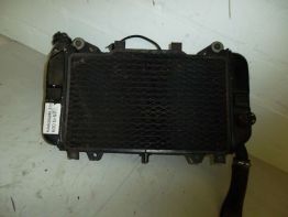 Radiator Kawasaki ZZR 600