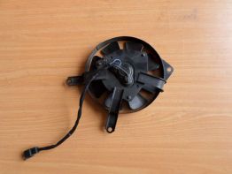 Fan Suzuki TL 1000