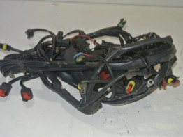 Kabelbaum MV Agusta 750 Brutale