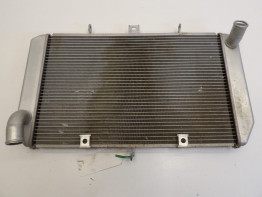 Radiator Kawasaki Z 1000 Sx