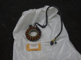 Dynamo Suzuki SV 1000