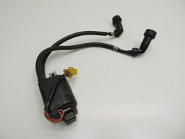 Zundspule Yamaha FJ 1200