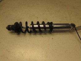 Schokbreker voor BMW R 850 R