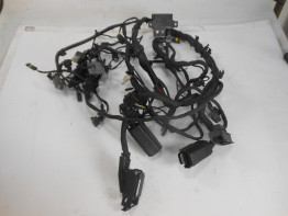 Kabelbaum BMW F 800 S - ST