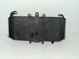 Kuhler Yamaha FAZER 600