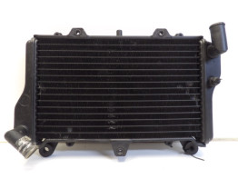 Radiator Kawasaki GPZ 900