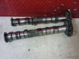 Nokkenas Yamaha TDM