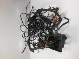 Wire Harness BMW R 1100 1150 RS