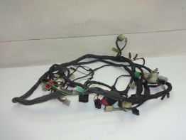 Wire Harness Kawasaki ZZR 1100