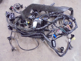 Kabelbaum Triumph Thruxton TFC