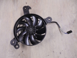 Ventilator Triumph Tiger 900 Rally Pro