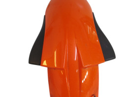 Voorspatbord Kawasaki ZX 6 R