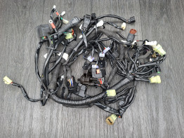 Wire Harness KTM 690 Duke 
