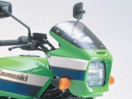 Kuipruit Kawasaki ZRX 1100 1200