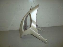 Front fender Triumph Speed Triple 1050