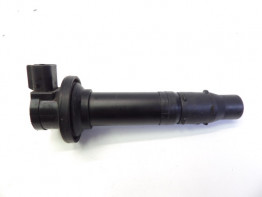 Bobine Yamaha YZF R6