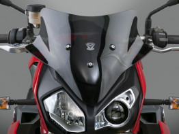 Wind screen BMW S 1000 R