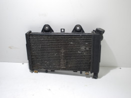 Kuhler Triumph 900 Daytona