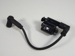 Bobine Ducati monster 696