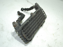 Olkuhler Suzuki SV 1000