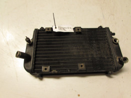 Radiator Kawasaki EL 250