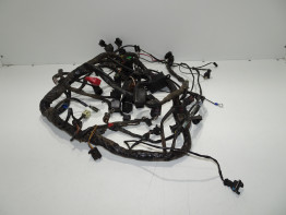 Wire Harness Triumph Sprint RS