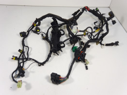 Kabelboom Ducati monster 796