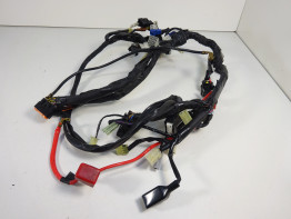 Kabelboom Yamaha FZ1