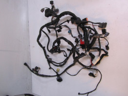 Wire Harness Kawasaki ER 6