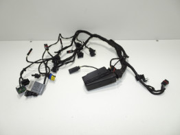 Kabelboom voor BMW F 800 R
