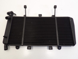 Radiateur Triumph Sprint ST 1050