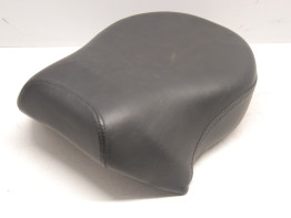 Buddy zadel Harley Davidson Sportster