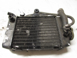 Kuhler Honda TRANSALP