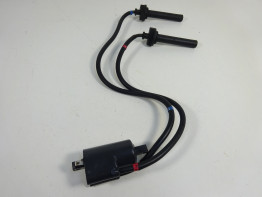 Bobine Yamaha FJR 1300