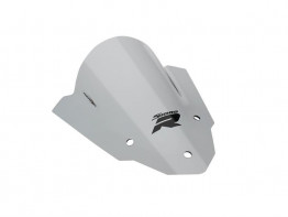 Scheibe Windschild BMW S 1000 R