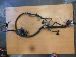 Wire Harness Yamaha FAZER 600