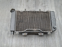 Radiateur Yamaha TDM