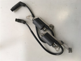 Bobine Aprilia Tuono 1000