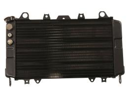 Radiator Yamaha FZR 1000