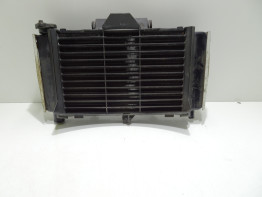 Radiator Yamaha FZ6